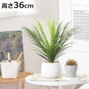 フェイクグリーン ヤシ 高さ36cm セラミックポット ( 観葉植物 フェイク 人工観葉植物 造花 植物 鉢植え アートグリーン 水やり不要 お手入れ簡単 リビ...