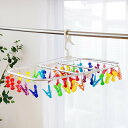 洗濯ハンガー ピンチハンガー 40ピンチ SUNNY RAINBOW ランドリーハンガー ( 角ハンガー アルミ 折りたたみハンガー 物干しハンガー 小物干し ...