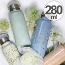 水筒 ステンレスボトル ミア 保温保冷 280ml ( ボトル ステンレス レディース 保温 保冷 マグボトル 直飲み 軽量 ボトル ステンレス製 ダイレクト ...