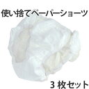 使い捨て下着 ペーパーショーツ 女性用 ( 旅行グッズ 旅行アイテム トラベルグッズ 必需品 ) 【3980円以上送料無料】