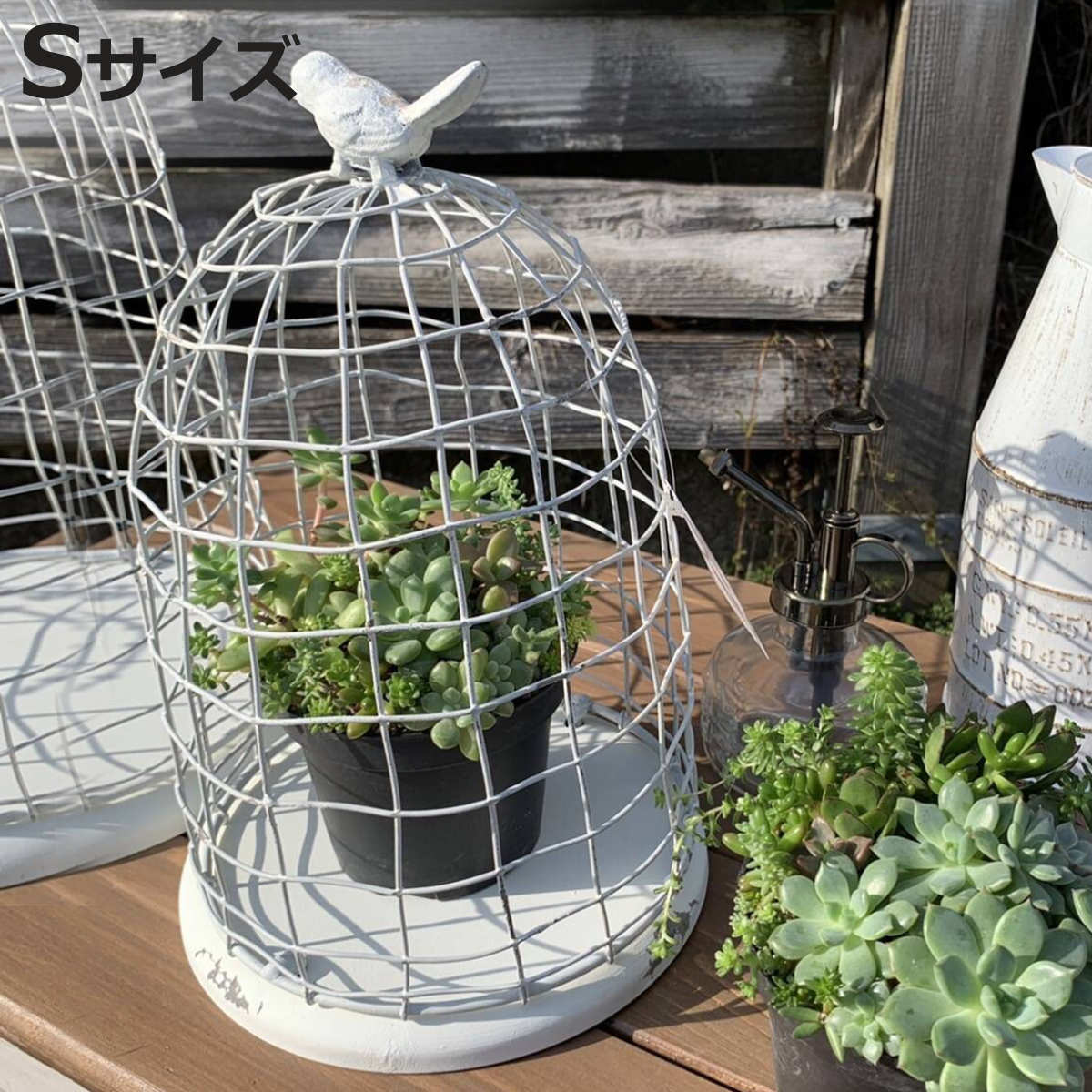 楽天市場】鳥かご インテリア(花・ガーデン・DIY)の通販 楽天市場】鳥かご インテリア(花・ガーデン・DIY)の通販