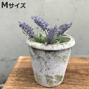 植木鉢 モスティーク コニックポット M 直径14.5cm フラワーポット ( プラントポット プランターポット 鉢 鉢植え セメント ポット 穴あり 水抜き穴...
