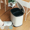 ゴミ箱 5L 2分別 セパレ・ペダルビン ( ごみ箱 5リットル ペダル ふた付き コンパクト リビング キッチン ペダル式 内バケツ アイボリー ベージュ グ...