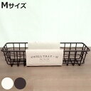 かご スウェル トレー M 小物入れ 幅24×奥行7×高さ5cm ( 収納 卓上収納 バスケット ワイヤーバスケット 浅型 スリム アイアンバスケット ワイヤー...