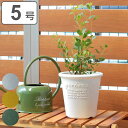植木鉢 エコポット丸型 5号 古紙入 ( プランター プラントポット 植物用ポット 花器 鉢カバー ポット プラスチック 5号鉢 丸 植木鉢カバー プラ鉢 古紙 パピエ 天然素材 エコポット 観葉植物 花 多肉植物 底穴あり 軽量 ) 【3980円以上送料無料】