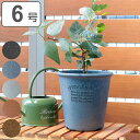 植木鉢 エコポット丸型 6号 木粉入 ( プランター プラントポット 植物用ポット 花器 鉢カバー ポット プラスチック 6号鉢 丸 植木鉢カバー プラ鉢 木粉 アーブル 天然素材 エコポット 観葉植物 花 多肉植物 底穴あり 軽量 ) 【3980円以上送料無料】