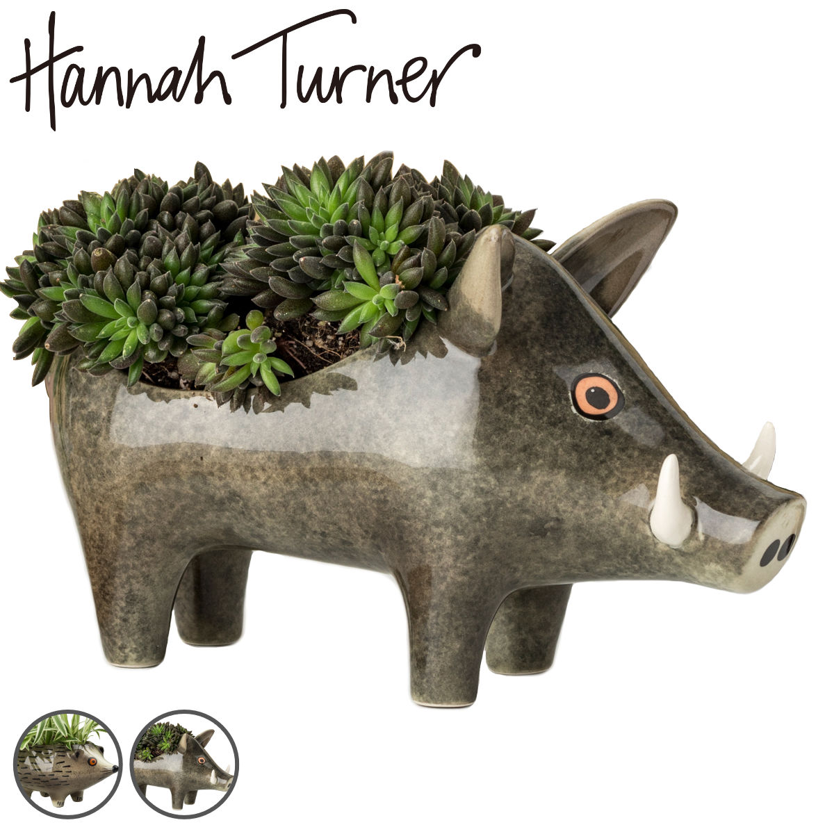 ץ󥿡 Hannah Turner ϥͥ Υ  ϥʥʡ ȭ ץȥݥå ߥ˥ݥå ˥ޥ ưʪ տ...