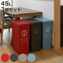 ゴミ箱 同色3個セット 45L スライドペール ふた付き エッフェル塔 ( ごみ箱 45リットル ダストボックス スリム 分別 キッチン スライド スライド式 蓋つき 大容量 プラスチック ペール 角型 縦型 フタ付き おしゃれ )【3980円以上送料無料】