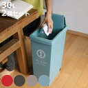 ゴミ箱 同色3個セット 30L スライドペール ふた付き エッフェル塔 ( ごみ箱 30リットル ダストボックス スリム 分別 キッチン スライド スライド式 蓋つき 大容量 プラスチック ペール 角型 縦型 フタ付き おしゃれ )【3980円以上送料無料】