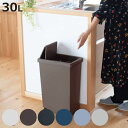 ゴミ箱 30L スライドペール 無地 ふた付き ( ごみ箱 30リットル スライド 蓋つき プラスチック キャスター ダストボックス 蓋付き 袋 見えない スライド式 キッチン 台所 おしゃれ )【3980円以上送料無料】