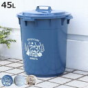 ゴミ箱 45L カラーペール アースカラー ( ごみ箱 45リットル 大容量 ふた付き 屋外 丸型 ペール 分別 収納 外用ゴミ箱 大きい 筒型 ストック 清掃用品 アウトドア用品 DIY用品 園芸用品 おしゃれ )【3980円以上送料無料】