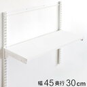 壁面収納 棚 幅45cm×奥行30cm TSセット フィットラック ( 棚板 木製 DIY 収納 可動棚 オープンラック 収納ラック 有効活用 収納スペース 壁...