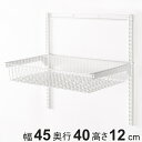 壁面収納 フィットラック バスケットセット 幅45cm ( 幅45×奥行40×高さ12cm バスケット パーツ オプション 部品 DIY 収納 小物収納 小物入...
