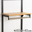 壁面収納 棚 パイプ付 TPセット 幅60cm×奥行40cm フィットラック ( パイプ付き 棚板 ハンガーラック DIY 収納 吊り下げ収納 クローゼット 可...