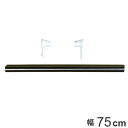 フィットラック 追加パーツ パイプ+パイプ受け 75cm ( パイプ 棚下用 パーツ オプション 部品 パイプハンガー DIY 収納 壁面収納 ハンガーラック ...