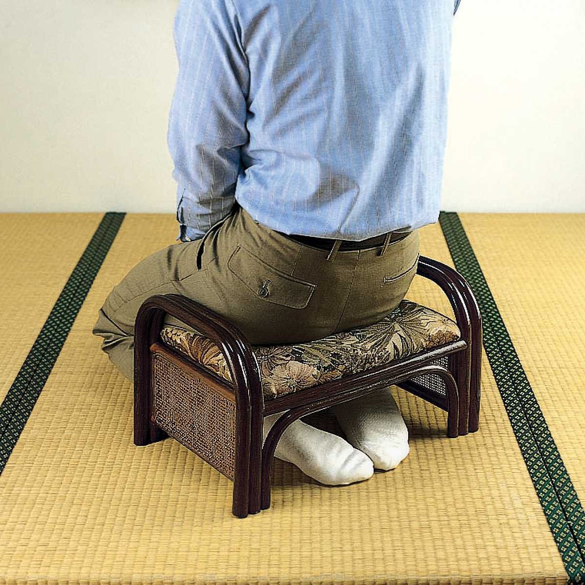 �� �ڡ��°ػ� ���������� ���̹�23cm �� ����̵�� ���°ػ� �饿������� �饿���� �ػ� �����°ػ� ������ �ѡ����ʥ������ ���å��������� �� �������� ɪ�ݤ��դ� �� ��3980�߰ʾ�����̵����