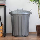 ゴミ箱 45L スーパーカン 丸型 ( ごみ箱 45リットル 屋外用 大容量 軽量 ふた付き 分別 トラッシュカン 日本製 3年保証 大きい 外用 屋外 シルバ...