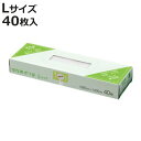 保存袋 Lサイズ 40枚入り エンボス加工 ( ポリ袋 ビニール袋 保存用ポリ袋 半透明 キッチンポリ袋 家庭用ポリ袋 ビニル袋 箱入り 袋 ふくろ 長方形 半...