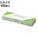 保存袋 Lサイズ 40枚入り エンボス加工 （ ポリ袋 ビニール袋 保存用ポリ袋 半透明 キッチンポリ袋 家庭用ポリ袋 ビニル袋 箱入り 袋 ふくろ 長方形 半透明袋 消耗品 日用品 キッチン消耗品 ）【3980円以上送料無料】