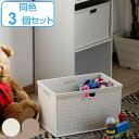 収納ボックス カラーボックス用 RE 高さ24cm 3個セット ( 幅39.5×奥行26.5×高さ23.8cm カラーボックス インナーボックス 収納 収納ケー...
