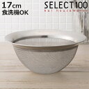 SELECT100 ザル 17cm ステンレス製 ( セレクト100 ざる 水切りザル ストレーナー 食洗機対応 17センチ ステンレスザル 湯切り 水切りざる...