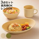 earth color 食器 3点セット バルセット ( BPAフリー 抗菌 電子レンジ対応 食洗機対応 日本製 カレー皿 パスタ皿 プレート お皿 皿 ボウル マグカップ コップ 器 うつわ おしゃれ かわいい シンプル プラスチック 軽い 割れにくい )【3980円以上送料無料】
