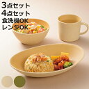 earth color 食器 3点セット 4点セット バルセット ( BPAフリー 抗菌 電子レンジ対応 食洗機対応 日本製 カレー皿 パスタ皿 プレート お皿...