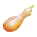 茶さじ 茶味 ひさご 11cm 木製 天然木 ( 茶匙 茶合 木 さじ 茶量 ティースプーン 茶葉 匙 煎茶 茶道 お茶 道具 煎茶道 ティーウェア 茶道具 羽...
