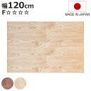 こたつ天板 幅120cm 長方形 天板のみ ( こたつ 天板 のみ コタツ 木製 天然木 日本製 こたつテーブル テーブル リビングテーブル コタツ天板 天板単品 取替え 交換用 ローテーブル ダイニングテーブル 奥行80cm )【3980円以上送料無料】