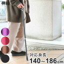 杖 伸縮タイプ 愛杖 Eシリーズ 無地 アルミ スリムネック ( つえ ツエ 伸縮杖 長さ調節 自立 軽量 介護 歩行補助 高齢者 介護用品 10段階調節 歩行...