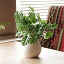人工観葉植物 モンステラ 19cm フェイクグリーン 造花 光触媒 ( ミニ 卓上 人工植物 フェイク アートグリーン 触媒加工 抗菌 消臭 緑 グリーン 癒し...