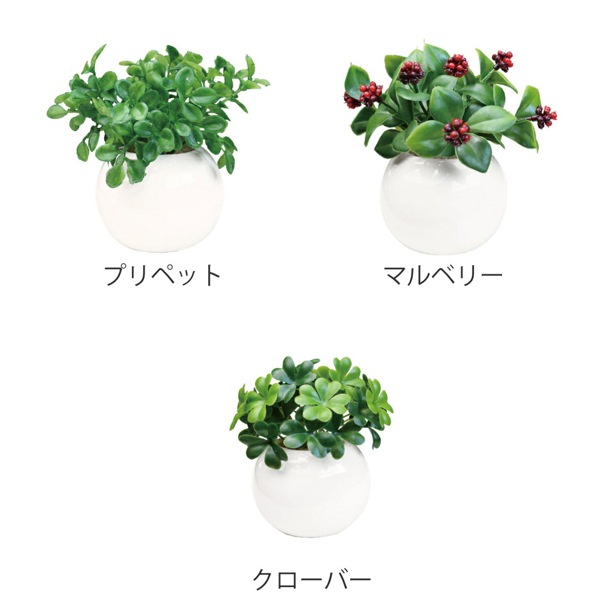 �ե��������꡼�� �饦��ɥݥå� ��� �� �ߥ˥ݥå� �͹����տ�ʪ ������ �ݥå� ȭ ¤�� ����ƥꥢ �ꥢ�� �ߥ� ���տ�ʪ �͹���ʪ �������� ����ƥꥢ���꡼�� �ե����� ���꡼�� �ý� ���� �ɥ��� ���� ������� �ˡ�3980�߰ʾ�����̵����