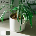 KINTO キントー プラントポット 170×160mm ( 鉢 植木鉢 プランター フラワーポット 17cm おしゃれ かわいい シンプル 観葉植物 グリーン...