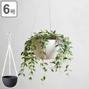 プランター プラントポット キントー KINTO 17.4cm ベージュ ( ハンギングプランター 吊り鉢 プラントハンガー 植木鉢 壁掛け 吊るす 吊り下げ おしゃれ 観葉植物 屋内 室内 店舗 ディスプレイ お店 多肉植物 底穴 鉢カバー )【3980円以上送料無料】