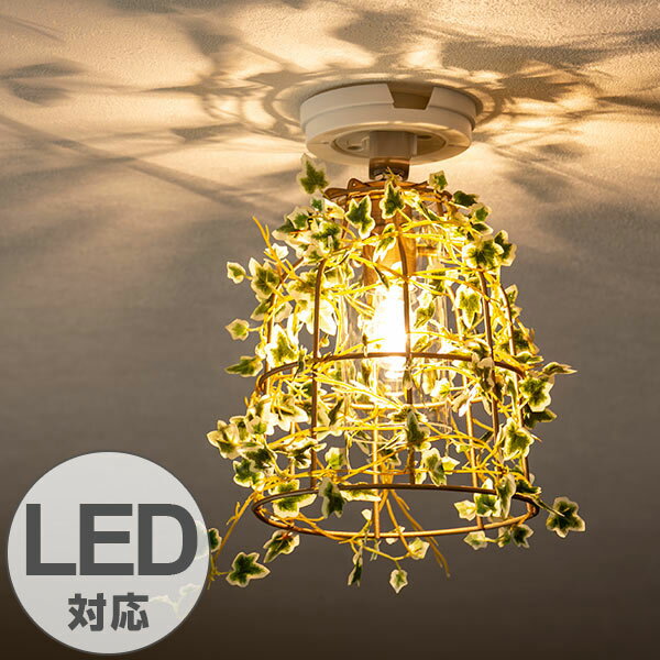 ■在庫限り・入荷なし■ シーリングライト 1灯 アイビー ボタニカル 天井照明 LED対応 CT触媒 ...