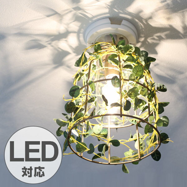 ■在庫限り・入荷なし■ シーリングライト 1灯 フィットニア ボタニカル 天井照明 LED対応 CT ...