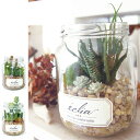 人工観葉植物 消臭アーティフィシャルグリーン エクリア キャニスタータイプ ECLIA ARTIFICIAL GREEN ( 造花 フェイクグリーン インテリア...