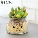 フェイクグリーン 人工観葉植物 ファミーユ 消臭アーティフィシャルグリーン スティーブン ( 造花 人工植物 観葉植物 人工 植物 多肉植物 リアル ct触媒 ...