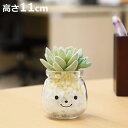 フェイクグリーン 人工観葉植物 ファミーユ 消臭アーティフィシャルグリーン エミリー ( 造花 人工植物 観葉植物 人工 植物 多肉植物 リアル ct触媒 消臭...
