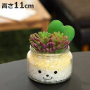 フェイクグリーン 人工観葉植物 ファミーユ 消臭アーティフィシャルグリーン ケイト ( 造花 人工植物 観葉植物 人工 植物 多肉植物 リアル ct触媒 消臭 ...