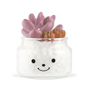 フェイクグリーン 人工観葉植物 ファミーユ 消臭アーティフィシャルグリーン エマ ( 造花 人工植物 観葉植物 人工 植物 多肉植物 リアル ct触媒 消臭 防...