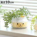 フェイクグリーン 人工観葉植物 ファミーユ 消臭アーティフィシャルグリーン ナンシー ( 造花 人工植物 観葉植物 人工 植物 多肉植物 リアル ct触媒 消臭...