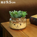フェイクグリーン 人工観葉植物 ファミーユ 消臭アーティフィシャルグリーン ジェシカ ( 造花 人工植物 観葉植物 人工 植物 多肉植物 リアル ct触媒 消臭...