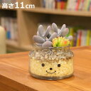 フェイクグリーン 人工観葉植物 ファミーユ 消臭アーティフィシャルグリーン リリー ( 造花 人工植物 観葉植物 人工 植物 多肉植物 リアル ct触媒 消臭 ...