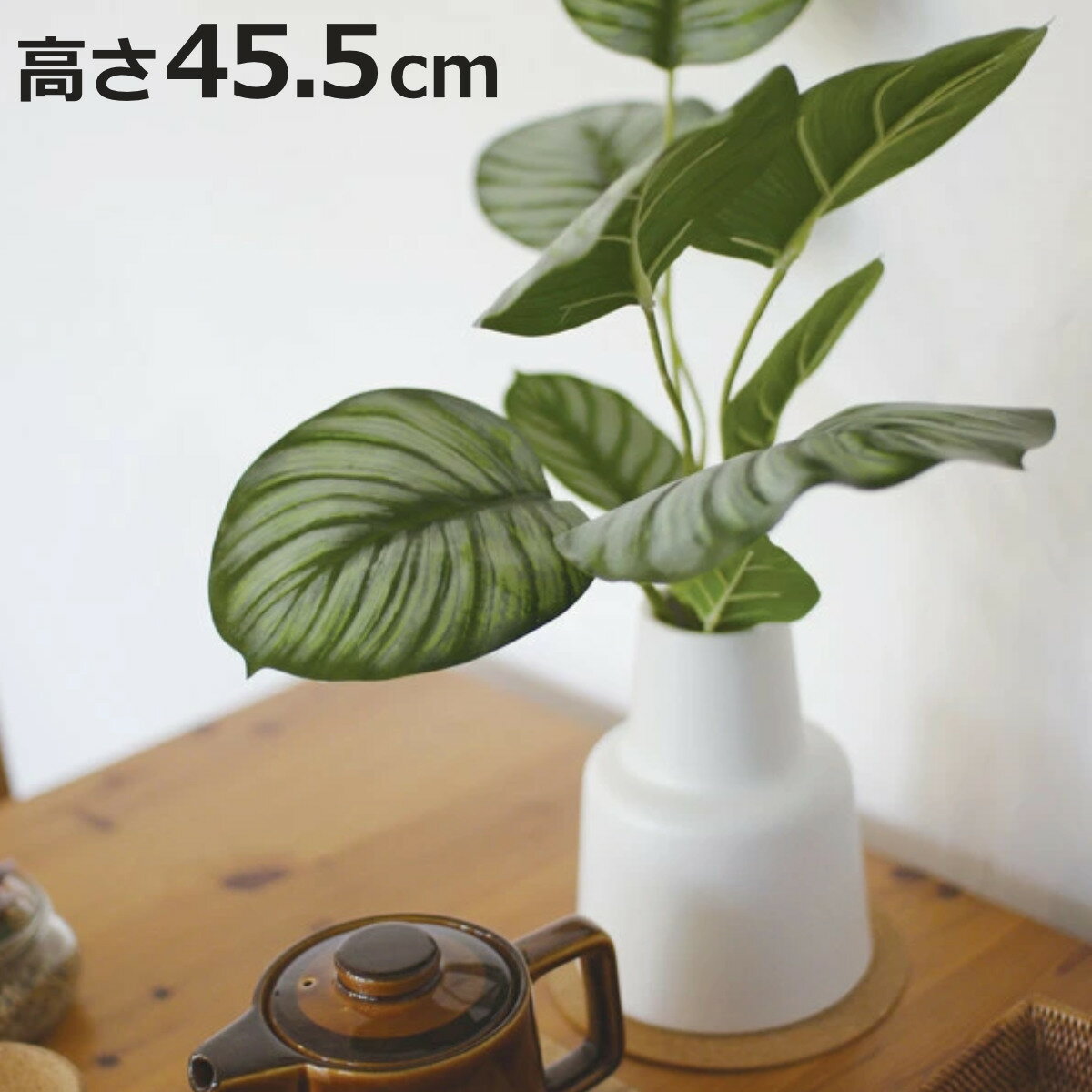 フェイクグリーン カラテア L 人工観葉植物 エクリア （ 卓上 観葉植物 造花 CT触媒 光触媒 消臭 防汚 抗菌 簡単 清潔 安心 インテリア 玄関 デスク上 トイレ 洗面所 ）【3980円以上送料無料】