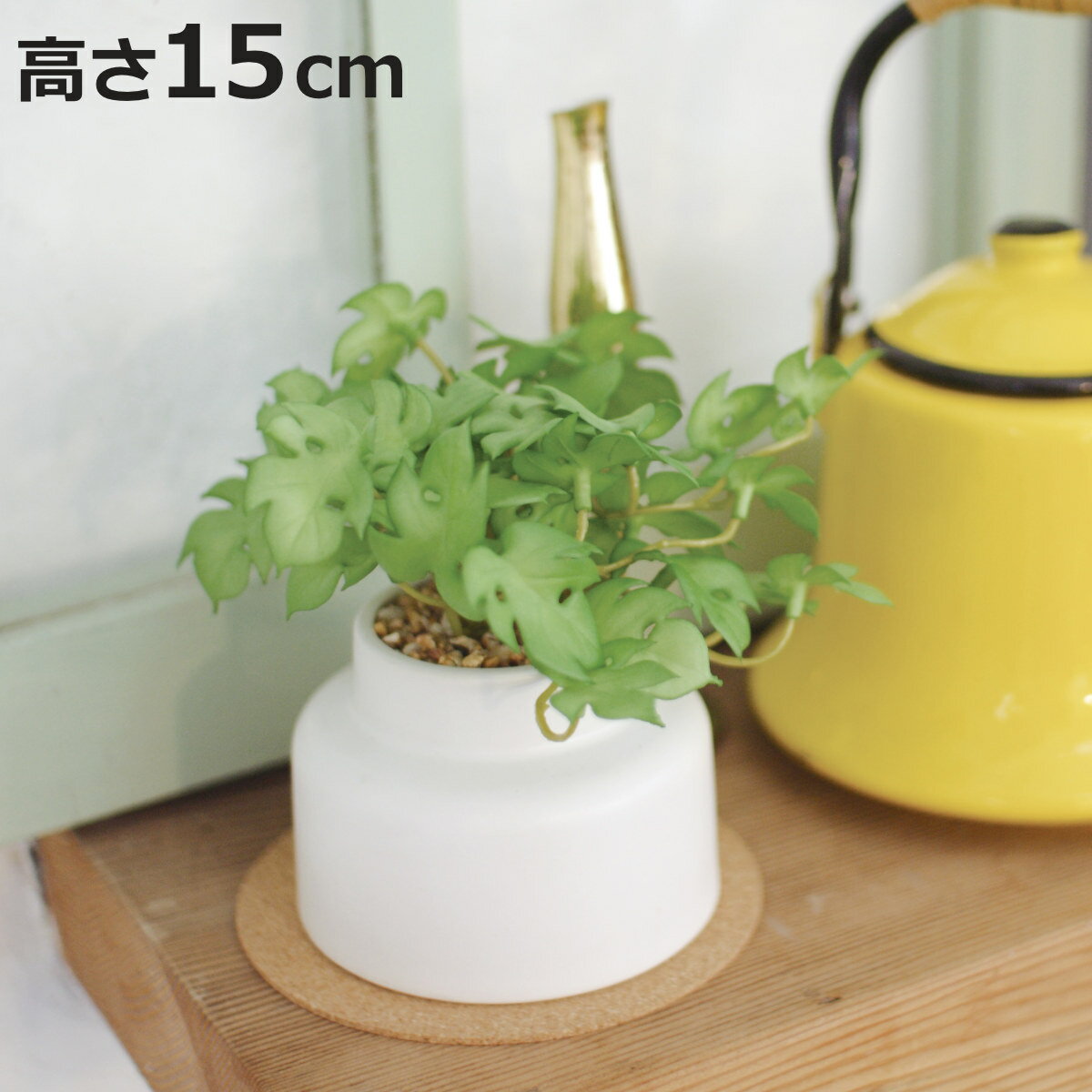 フェイクグリーン モンステラ M 人工観葉植物 エクリア （ 卓上 観葉植物 造花 CT触媒 光触媒 消臭 防..