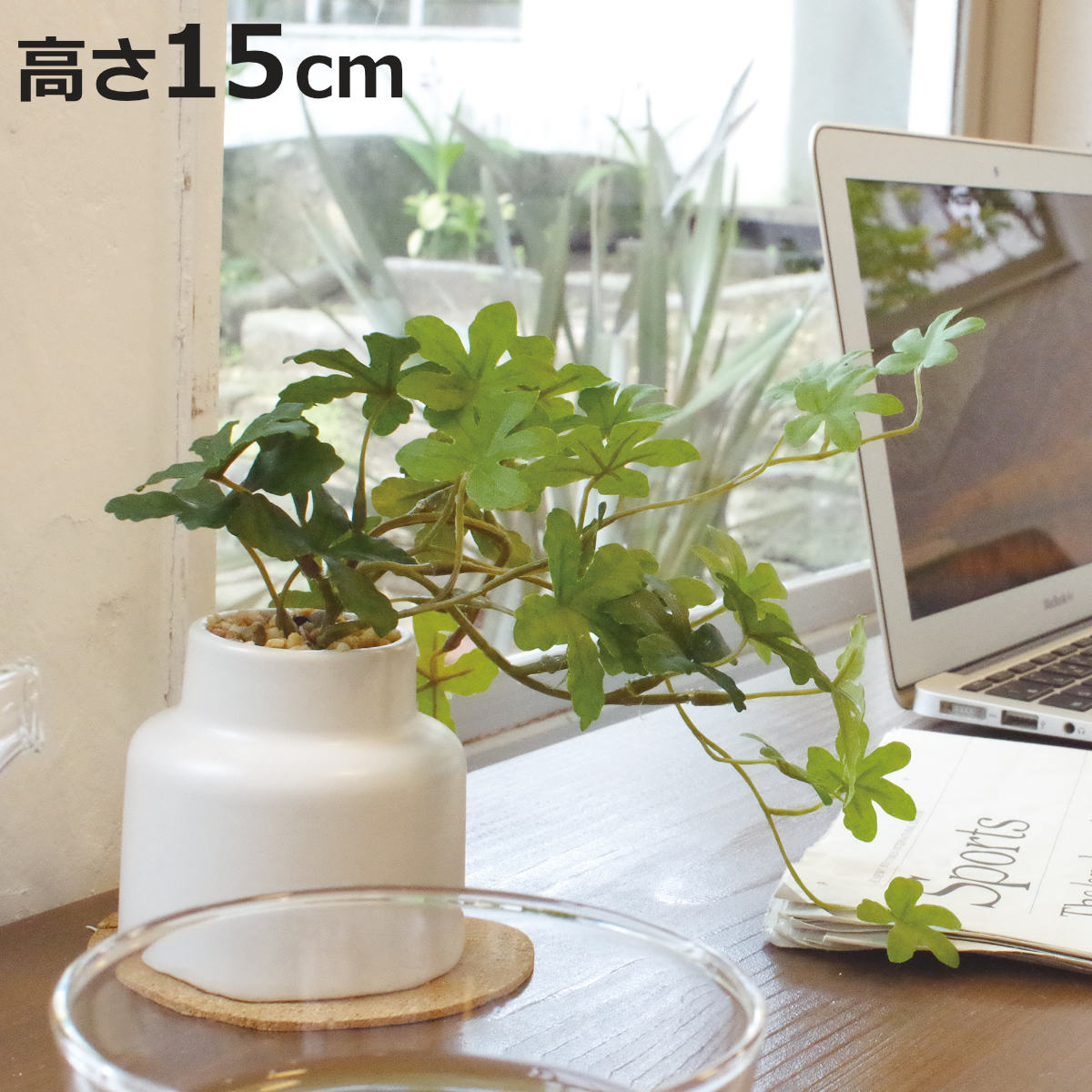 フェイクグリーン シュガーバイン M 人工観葉植物 エクリア （ 卓上 観葉植物 造花 CT触媒 光触媒 消臭 防汚 抗菌 簡単 清潔 安心 インテリア 玄関 デスク上 トイレ 洗面所 ）【3980円以上送料無料】