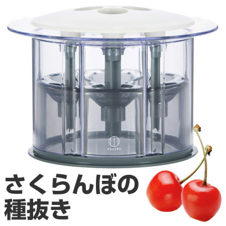 さくらんぼ用種抜き　チェリー種取り器 （ さくらんぼ 種取り 種とり キッチンツール チェリーピッター　チェリーストーナー　調理器具　キッチン用品 ） 【3980円以上送料無料】