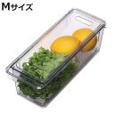 保存容器 すのこ付き 透明 野菜保存容器 Mサイズ ( 冷蔵庫収納 冷蔵庫 収納ケース トレー 深型 日本製 BPAフリー 蓋付き スタッキング 食品保存 水切...