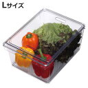 保存容器 すのこ付き 透明 野菜保存容器 Lサイズ ( 冷蔵庫収納 冷蔵庫 収納ケース トレー 深型 日本製 BPAフリー 蓋付き スタッキング 食品保存 水切...